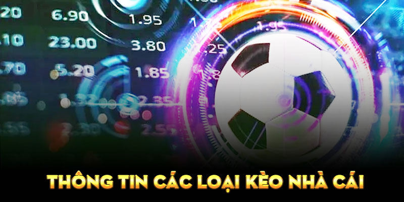 nha-cai-ra-keo-cac-buoc-phan-tich-cach-ra-keo-cua-nha-cai-chinh-xac-nhat6